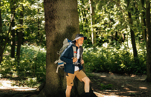 Senior male wearing hat and backpack walking in the forest against big tree. Mature man trekking in forest during sunny day.