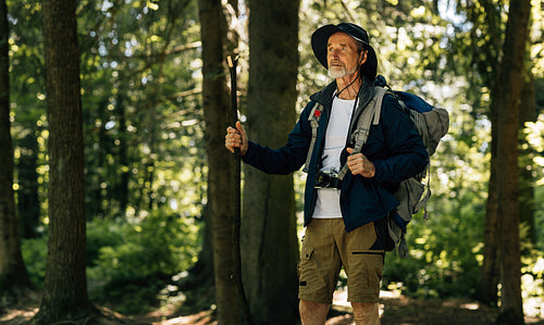 Senior man wearing hiking clothes and accessories standing in forest. Mature tourist with wooden stick enjoying hike.