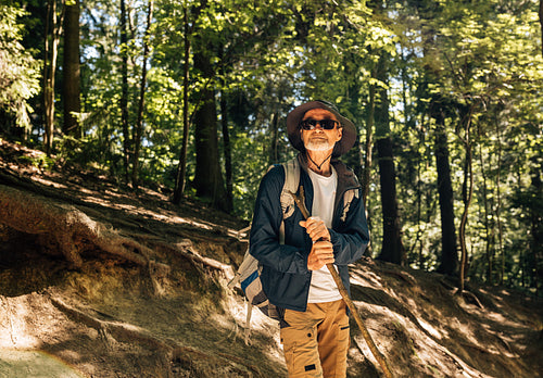 Senior male wearing eyeglasses and hat relaxing and looking away while standing in a forest and holding a wooden stick