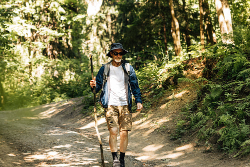 Senior male with a wooden stick wearing hat and eyeglasses walking outdoors in forest at sunny day