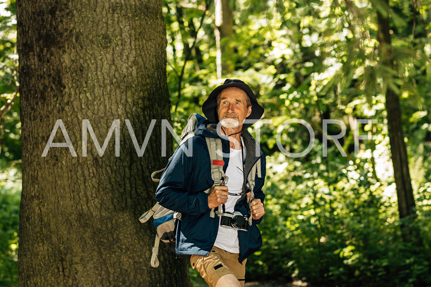 Senior tourist with a hat and backpack walking in forest near big tree