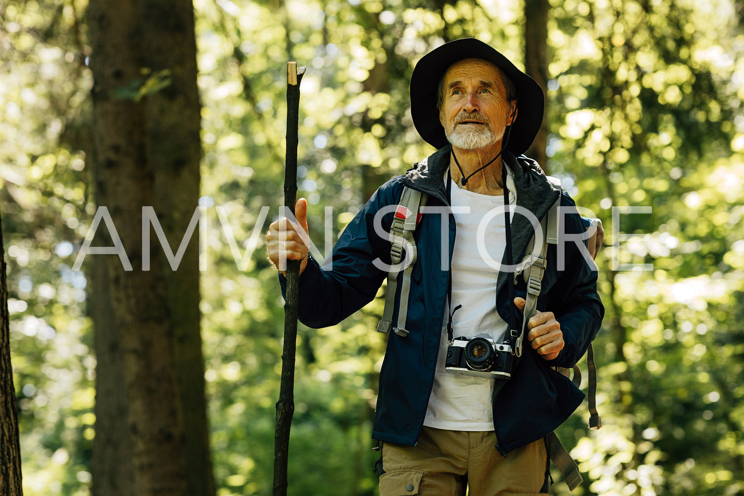 Senior male with wooden stick wearing hat and backpack standing in forest. Mature man looking into the distance during a forest walk.