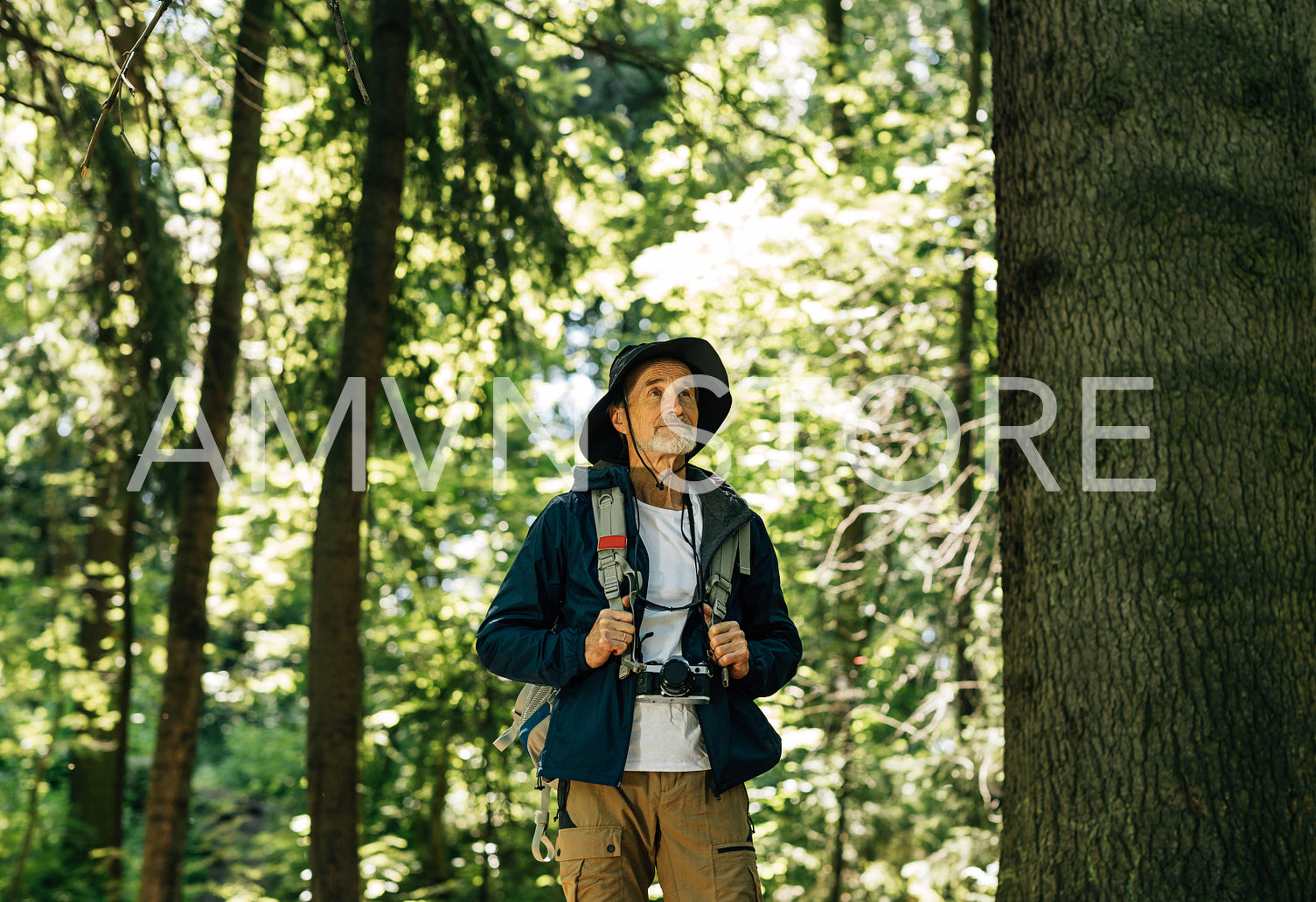 Portrait of senior male in hat near a big tree. Mature in hiking clothes standing in the forest.