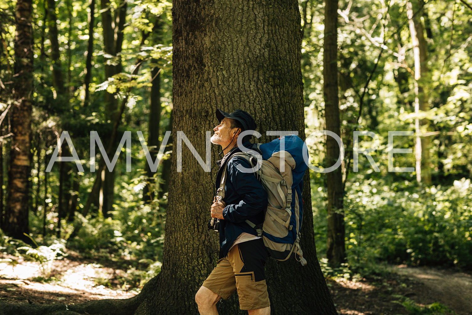 Side view of a senior male with a tourism backpack standing in a forest near a big tree. Mature tourist enjoying his forest walk.