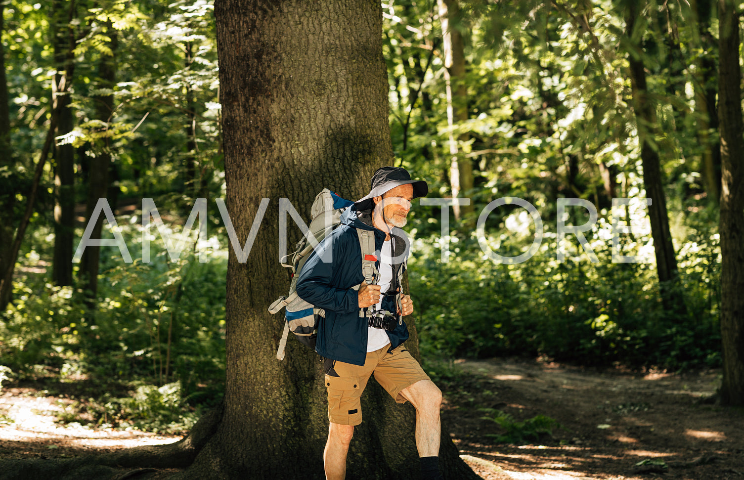 Senior male wearing hat and backpack walking in the forest against big tree. Mature man trekking in forest during sunny day.