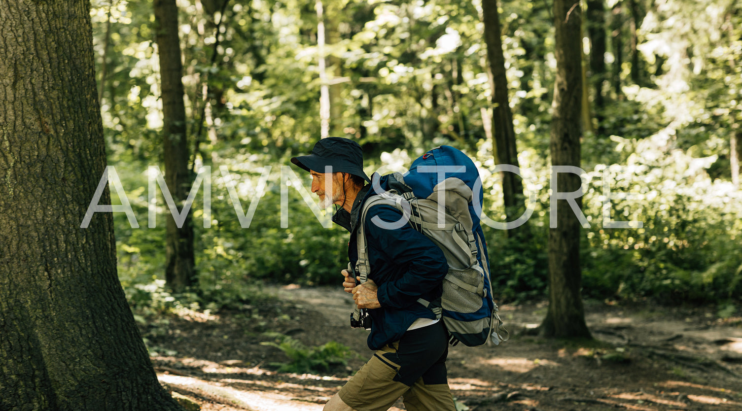 Side view of a senior male walking with touristic backpack in a forest during a sunny day