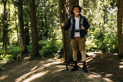 Full length of male in hiking clothes standing in a forest with a wooden stick and looking away