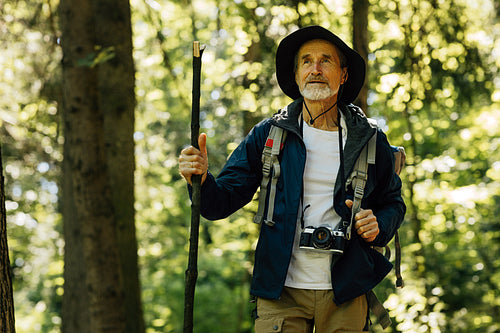 Senior male with wooden stick wearing hat and backpack standing in forest. Mature man looking into the distance during a forest walk.