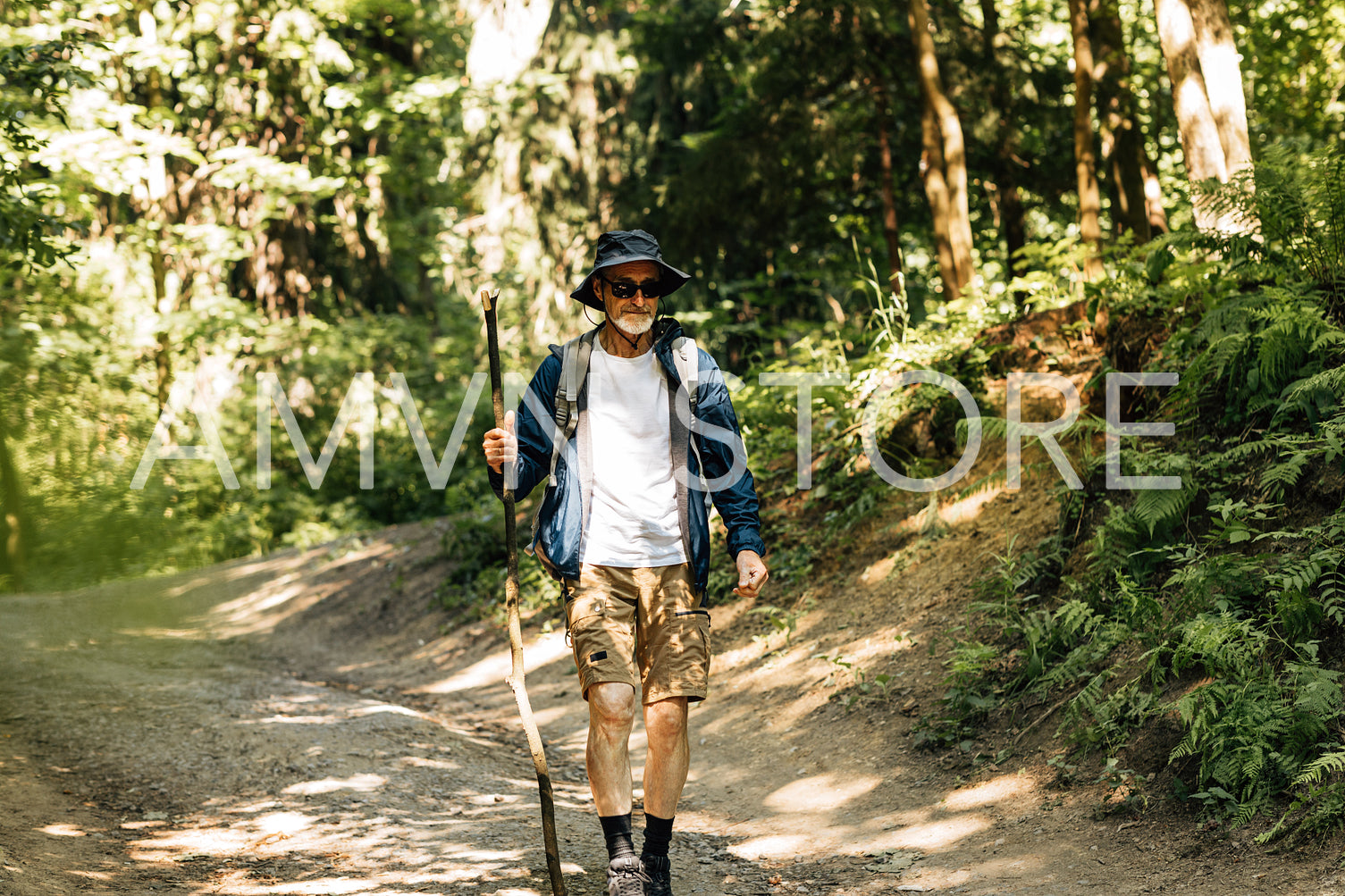 Senior male with a wooden stick wearing hat and eyeglasses walking outdoors in forest at sunny day