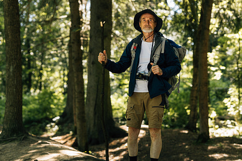 Senior male with a wooden stick standing in a forest with a backpack. Portrait of a mature man standing in forest.