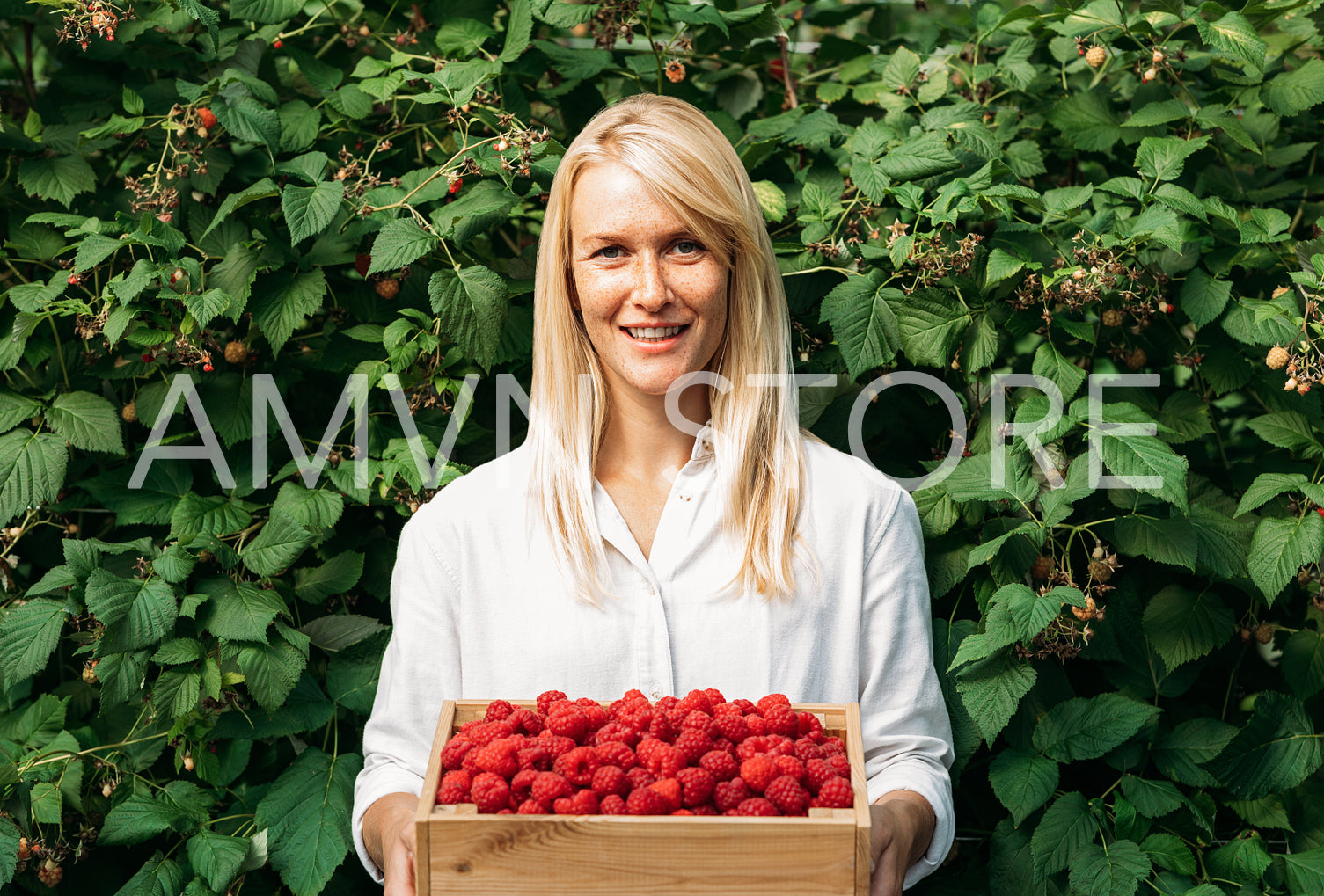 Portrait of a woman agronomist with a box full of raspberries. Young woman with freckles stands near the raspberry bushes holding a box full of berries.