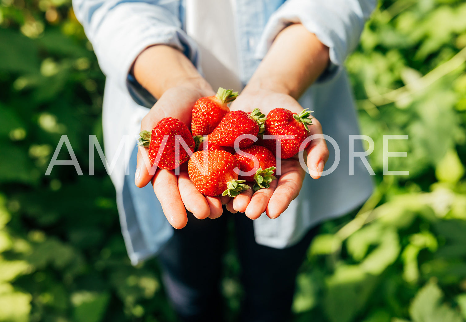 Close-up of an unrecognizable woman holding a strawberry in her hands outdoors