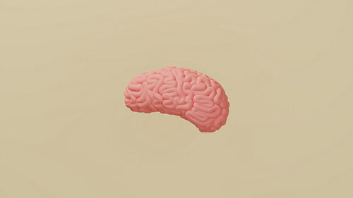 Side view of a human brain. 3d illustration of a brain against the pastel background.