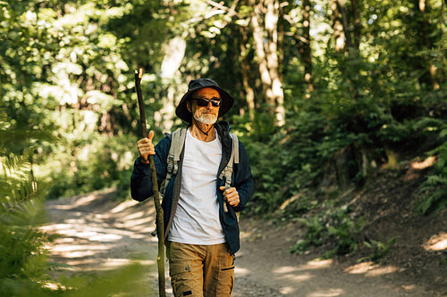 Senior man wearing glasses, hat and hiking clothes walking in a forest with a wooden stick