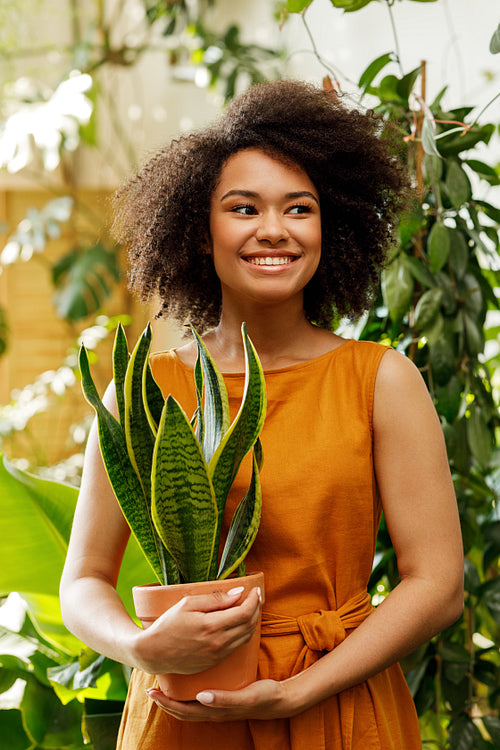 Portrait of a smiling woman holding a pot with sansevieria in a botanical workshop