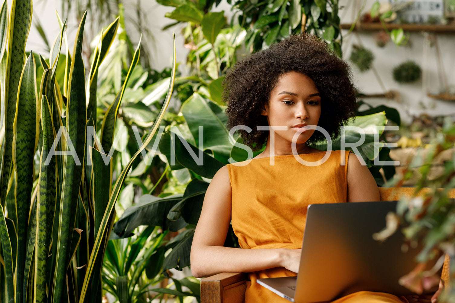 Woman sitting in the armchair and reading from a laptop at her indoor garden	