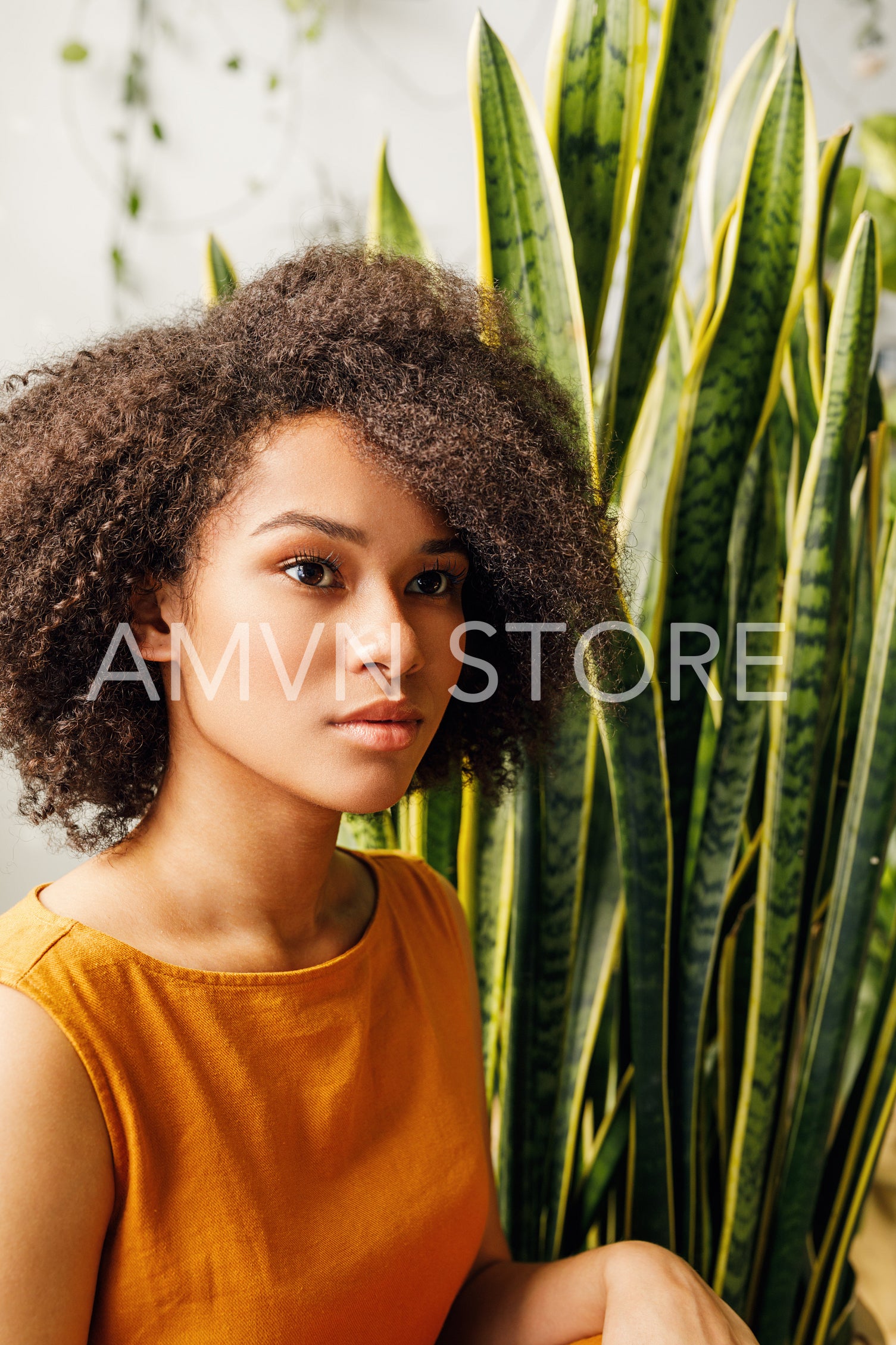 Portrait of beautiful young woman sitting near sansevieria leafs	