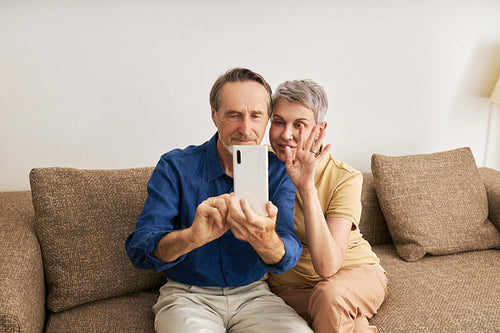 Senior couple making video call while sitting on a sofa in living room