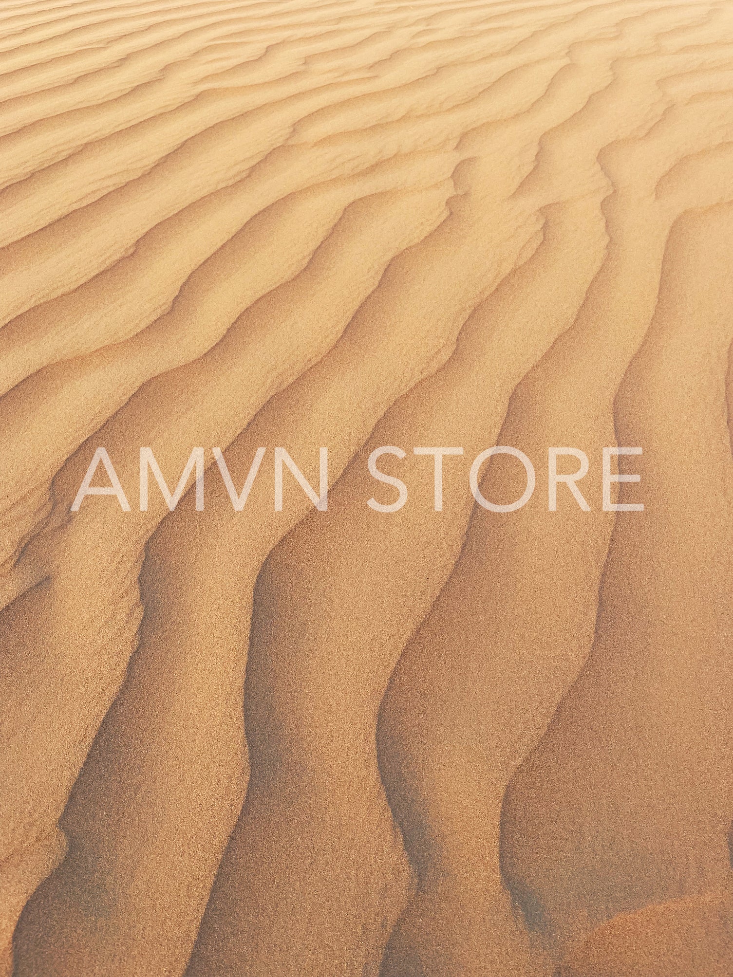 Shot of a natural pattern on a dune sand