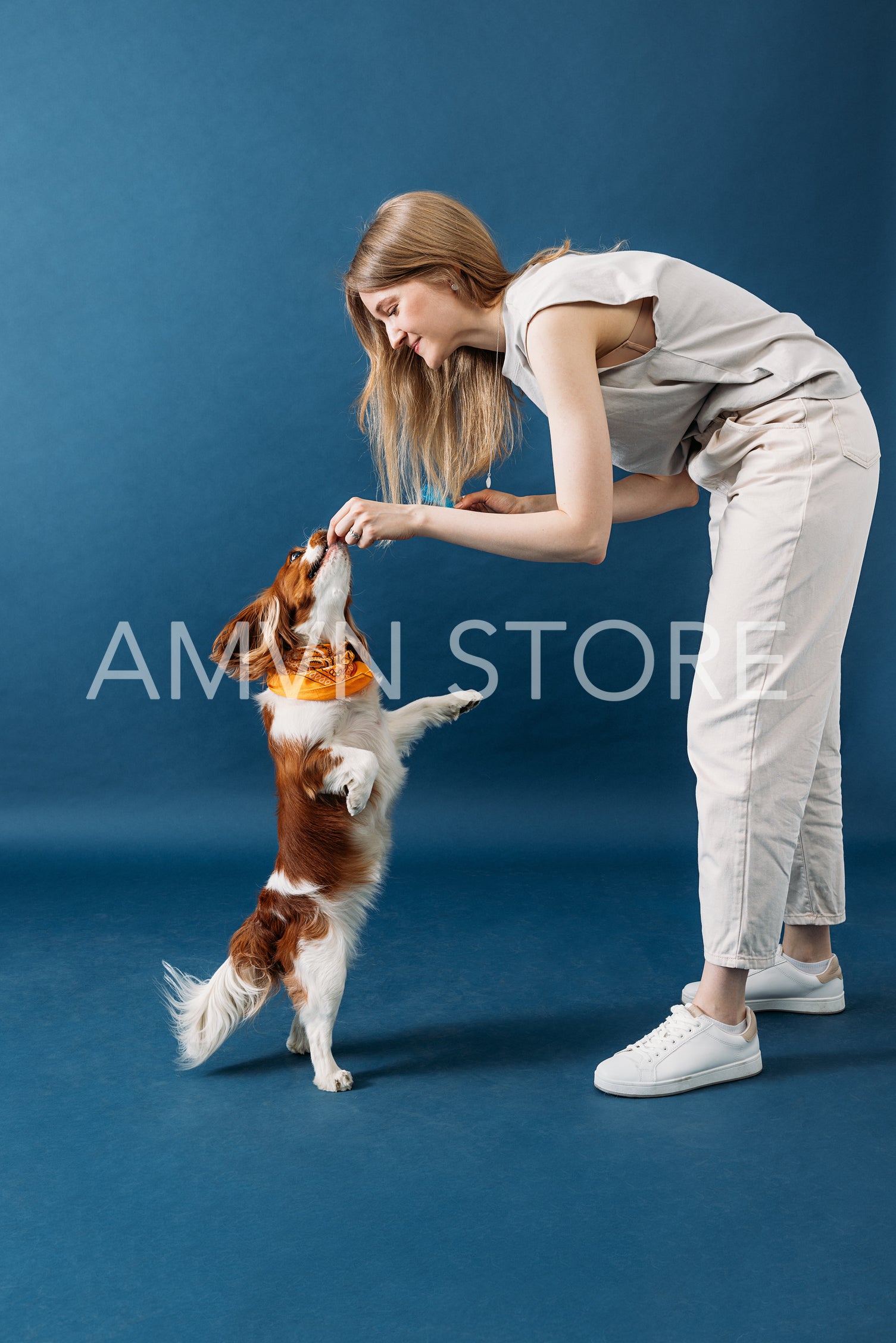 Woman playing with her dog in studio. Dog owner feeding her pet 