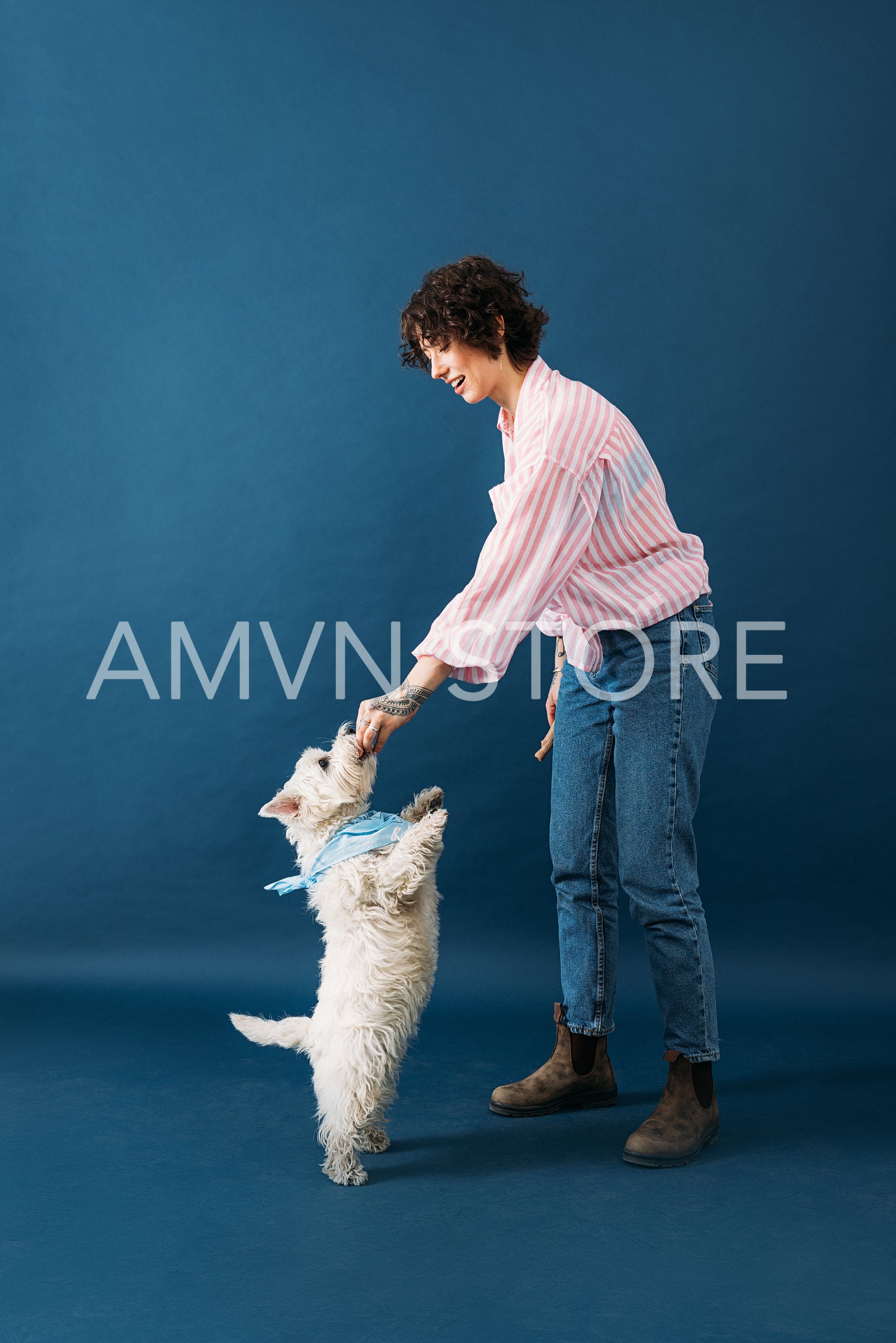 Side view of a young woman feeding her little white dog in a studio against blue background