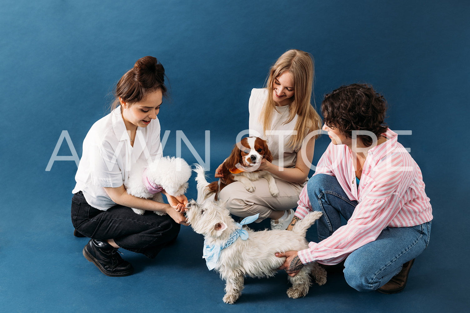 Three women with dogs. Pet owners sitting together on blue backg