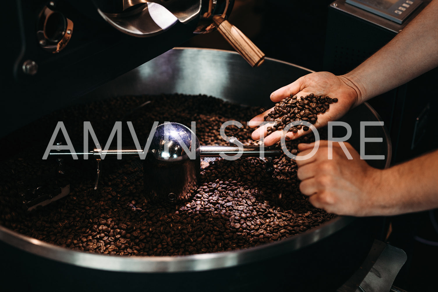 Hands of a men holding a fresh roasted bean above a metal drum full of coffee beans	