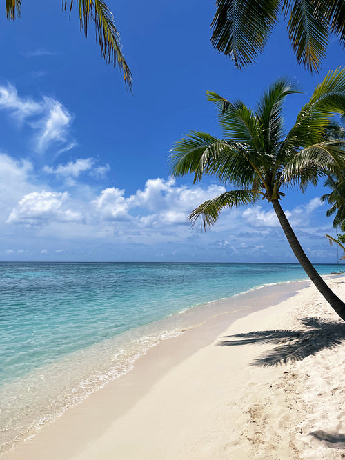 View on a torpical island with blue water and beach at sunny day