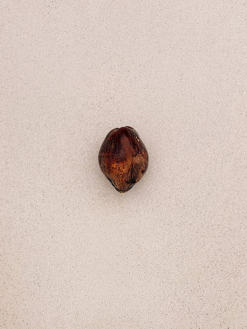 High angle of a coconut on a white sand