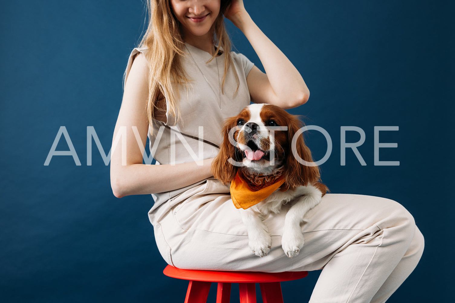 Little cute dog lying on hips of owner in studio