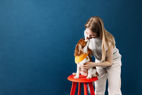 Little dog sitting on chair in studio. Young woman kissing her l