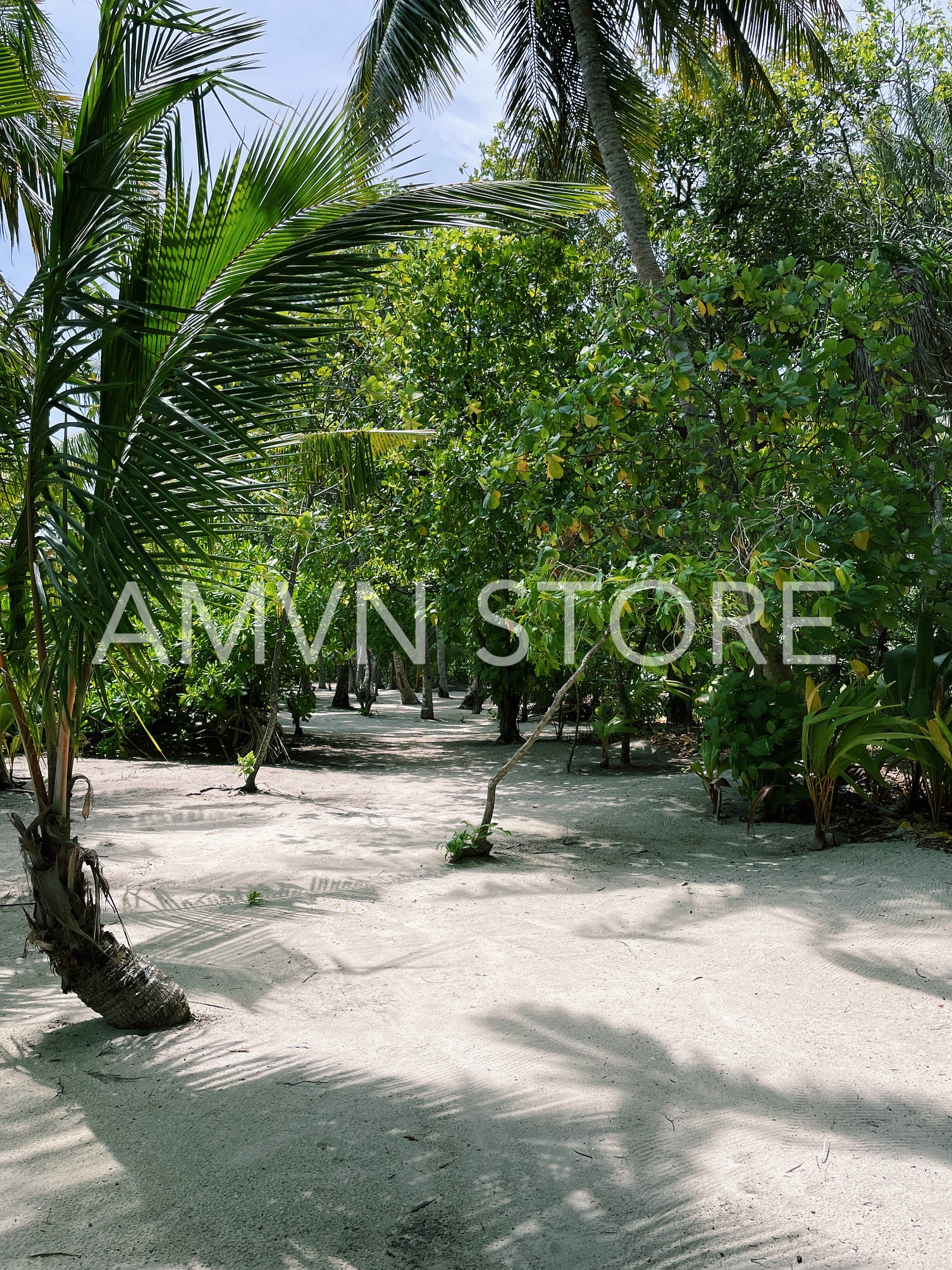 Tropical island with a lot of palms at sunny day