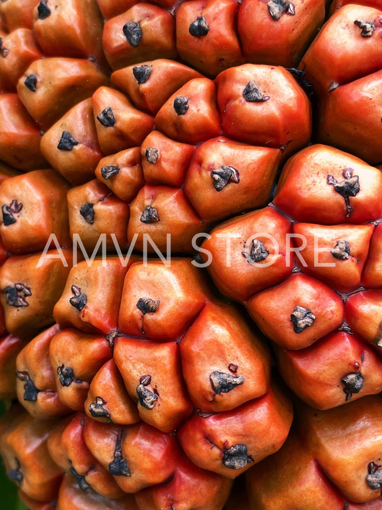 Close up of a tropical fruit Hala