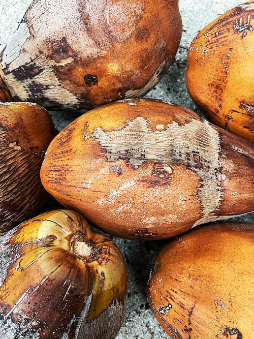 A lot of coconuts on a sand