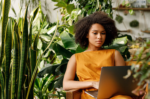 Woman sitting in the armchair and reading from a laptop at her indoor garden