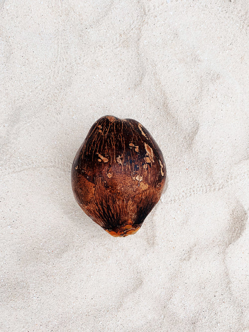 High angle view on a coconut on a white sand