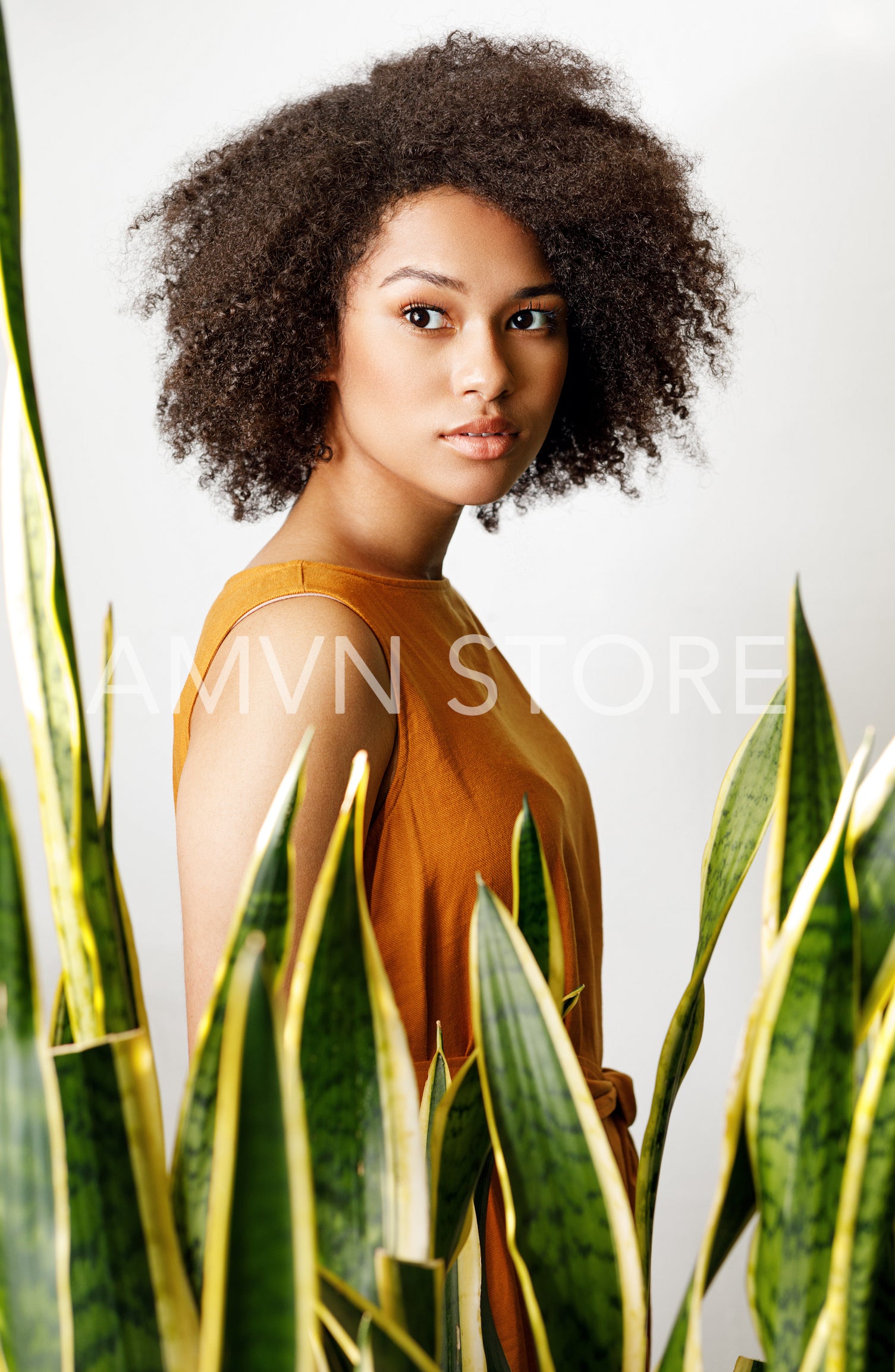 Portrait of a woman standing behind of a sansevieria plant	