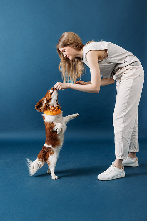 Woman playing with her dog in studio. Dog owner feeding her pet