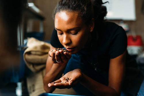 Woman examining and smelling the aroma of coffee beans after roasting