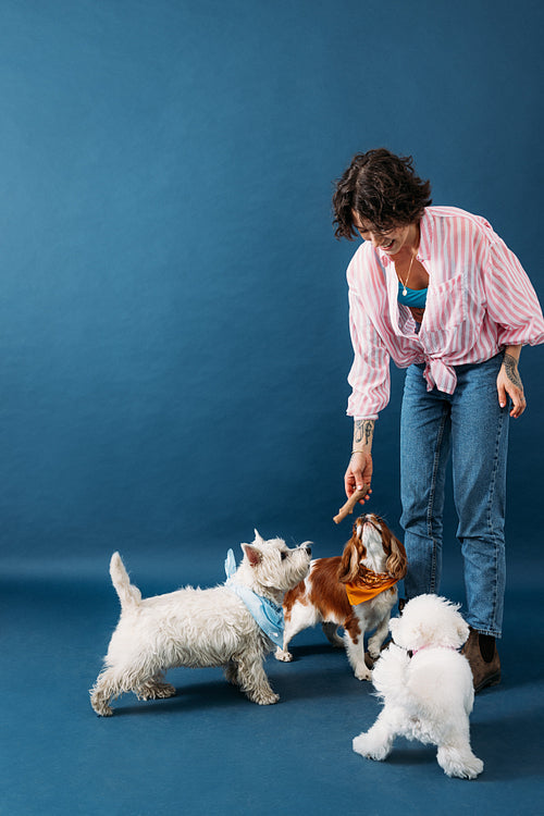 Young pet owner playing with three little dogs in the studio on