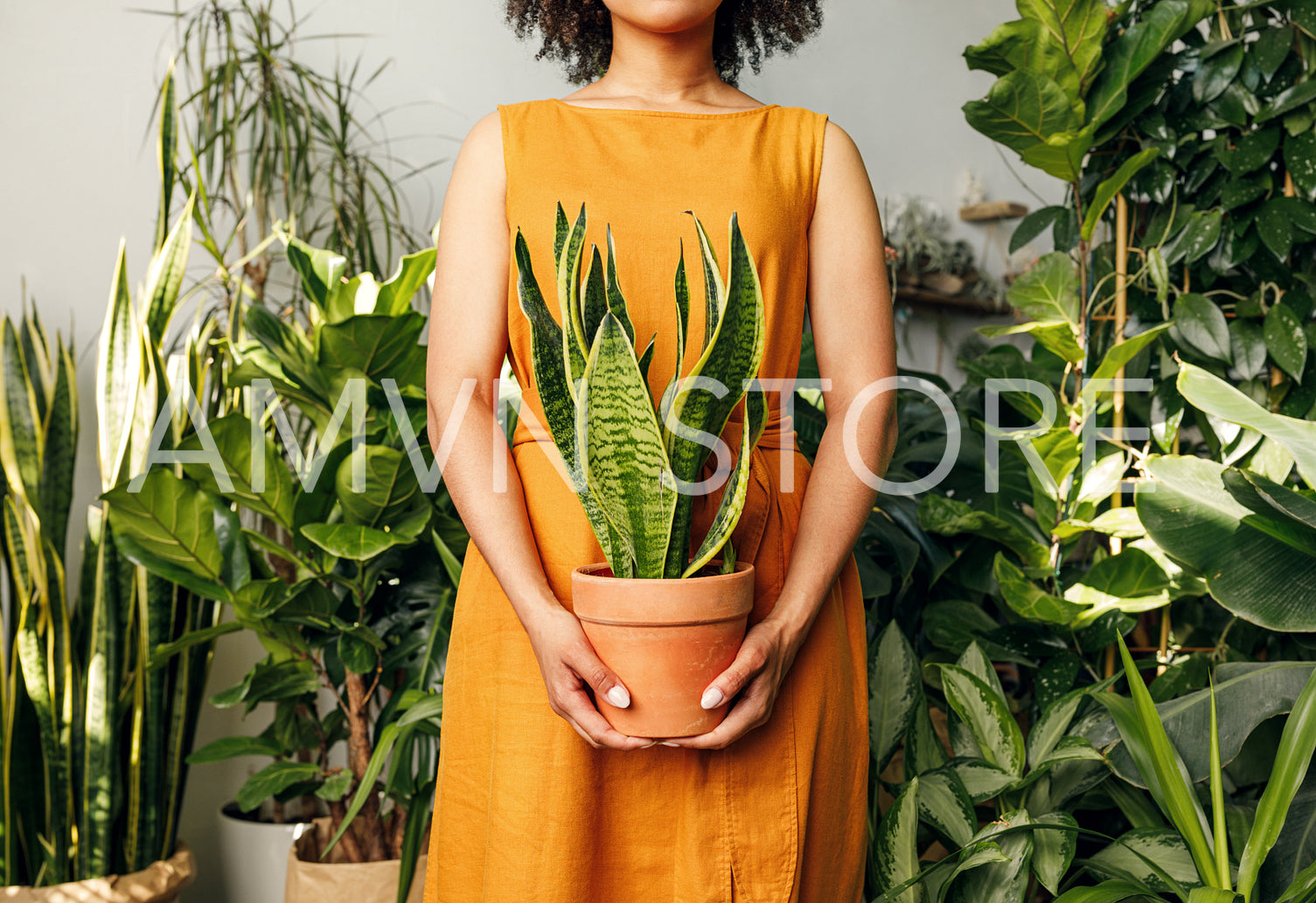 Beautiful woman florist holding a plant