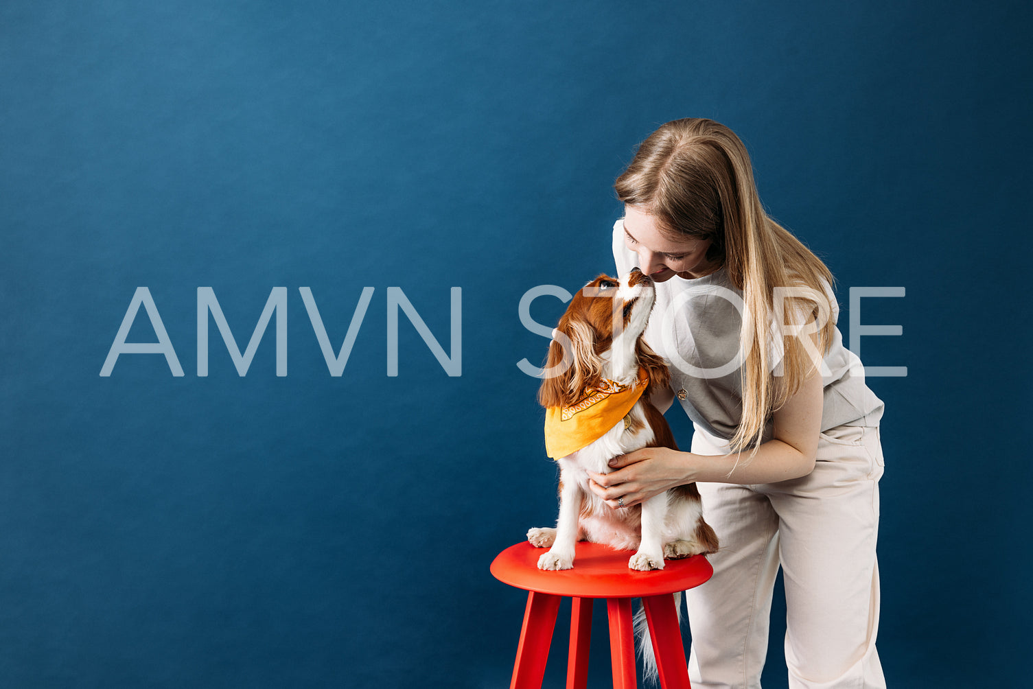 Little dog sitting on chair in studio. Young woman kissing her l