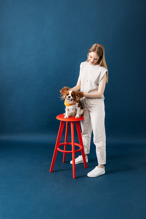 Cute dog sitting on red chair, while owner holding her ears agai