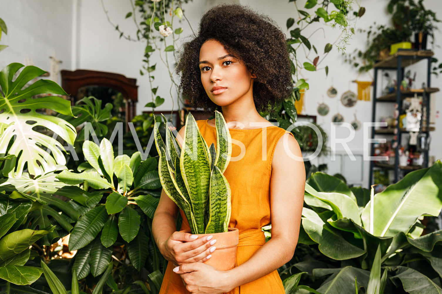 Beautiful woman florist holding a plant