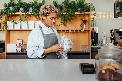 Female bartender wiping glass at counter