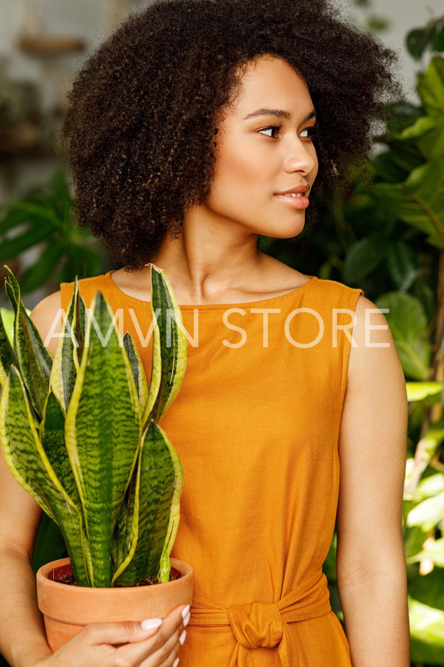 Young woman holding a pot with a sansevieria looking away	