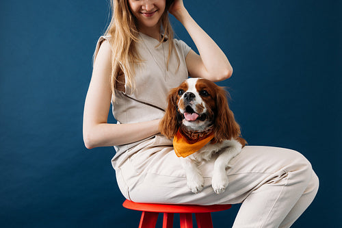 Little cute dog lying on hips of owner in studio