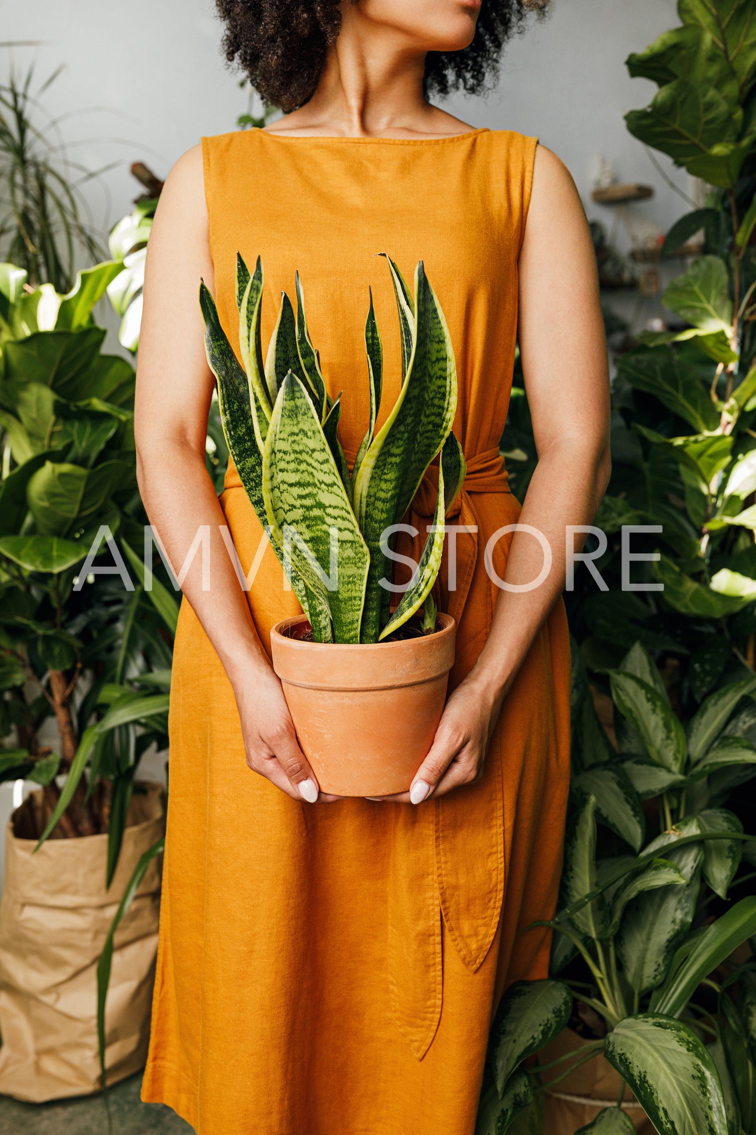 Beautiful woman florist holding a plant