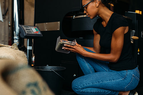 Side view of young barista checking quality of coffee beans before roasting