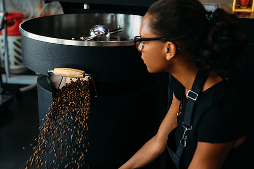 Young entrepreneur sitting at roasting machine, controlling a prepared roasting beans